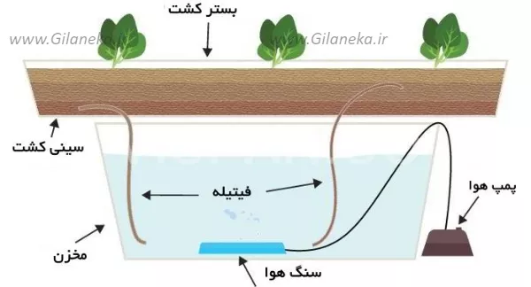 سیستم فیتیلهای کشت هیدروپونیک
