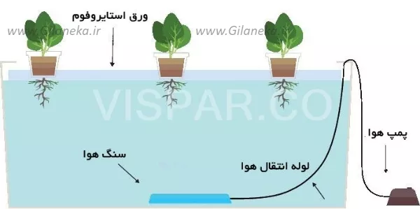 کشت هیدروپونیک سیستم کشت آب