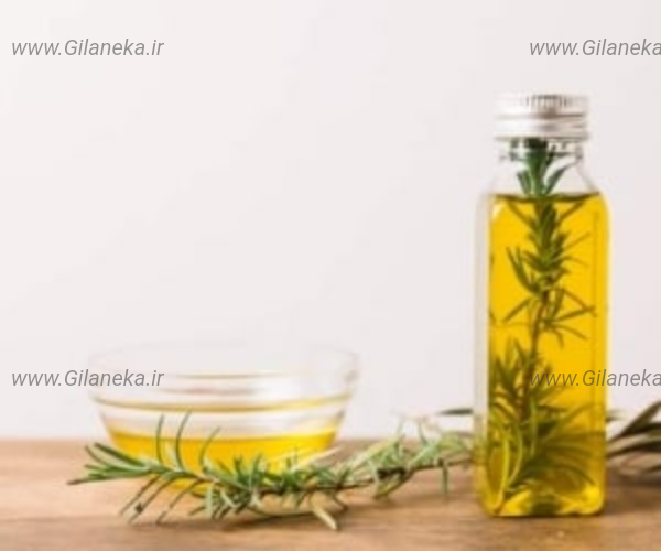 روغن رزماری ماری سایت گیلانیکا