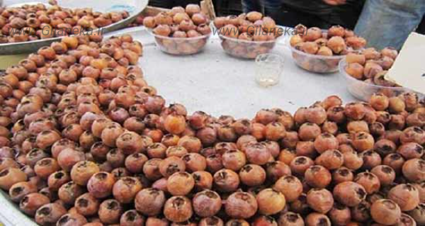 ازگیل جنگلی