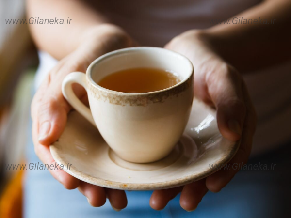چای سایت گیلانیکا
