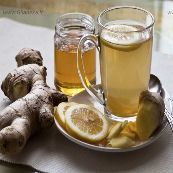 زنجبیل سایت گیلانیکا