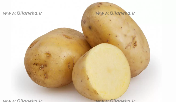 سیب زمینی سایت گیلانی کا ،سیب زمینی نصف شده