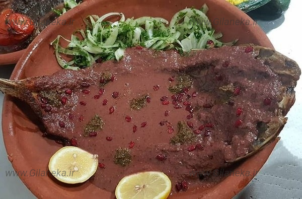 ماهی مالاتا سایت گیلانی کا