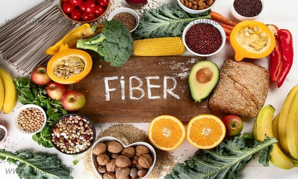 فیبر سایت گیلانیکا