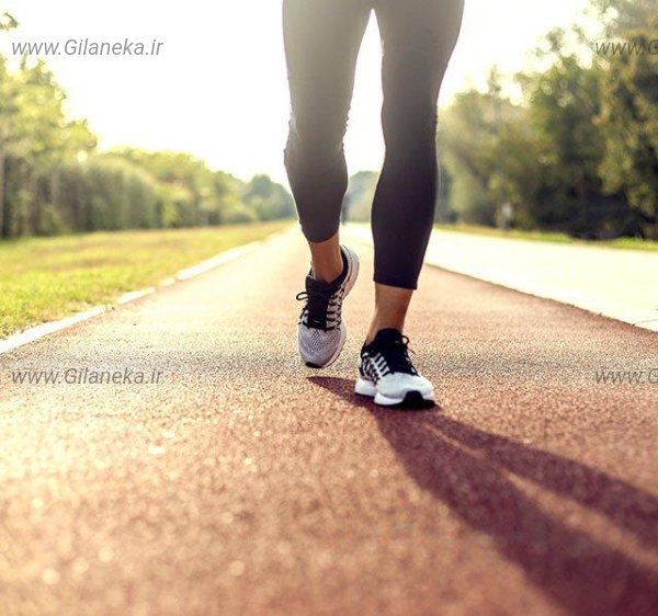 پیاده رویی سایت گیلانیکا