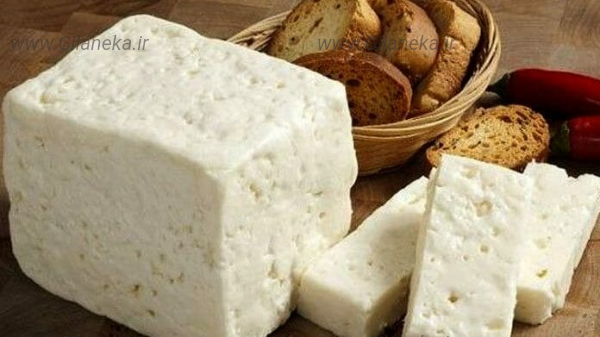 پنیر خانگی سايت گیلانیکا