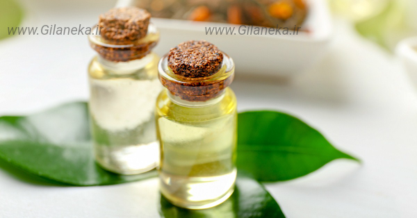 روغن درخت چای سایت گیلانیکا