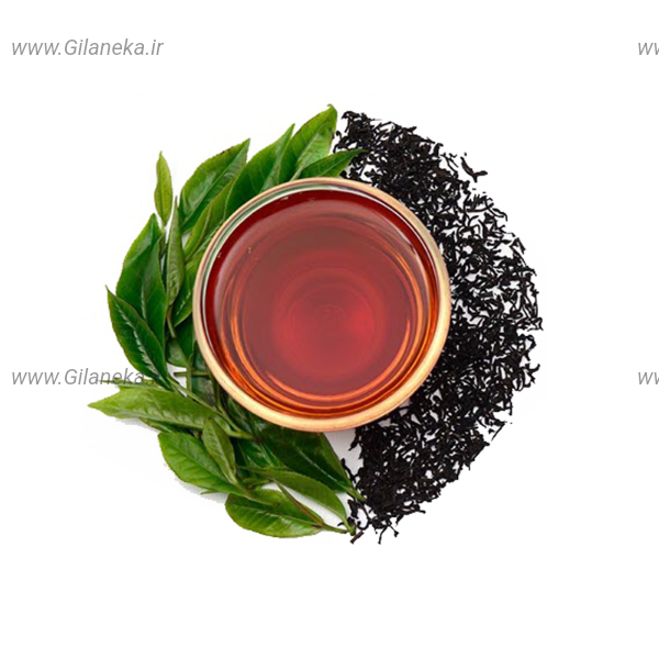وجود بی مهرگان در چای