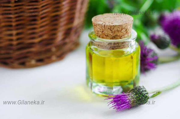 روغن بابا آدم سایت گیلانیکا