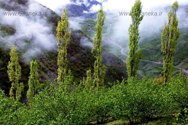 اشکور رودسر سایت گیلانی کا