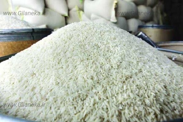 برنج سایت گیلانیکا