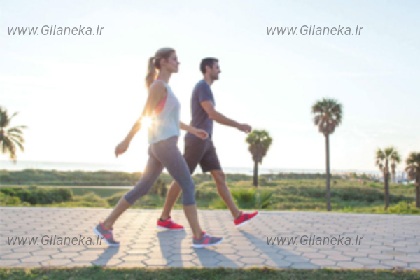 پیاده رویی سایت گیلانیکا