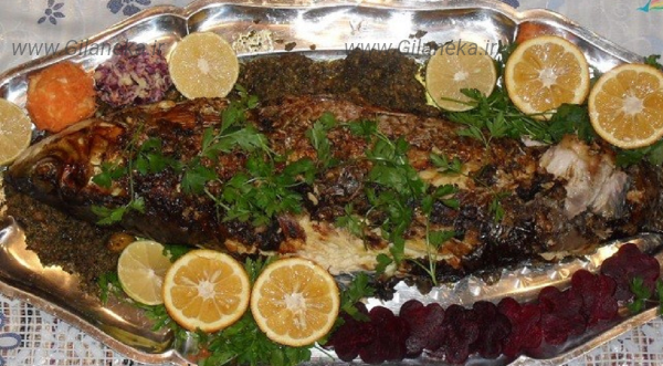 ماهی مالاتا سایت گیلانی کا