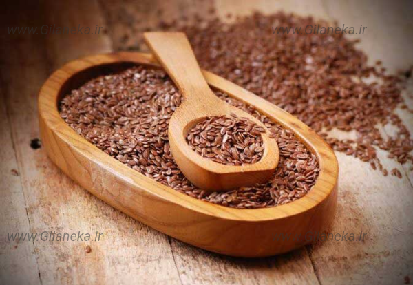 دانه کتان سایت گیلانیکا